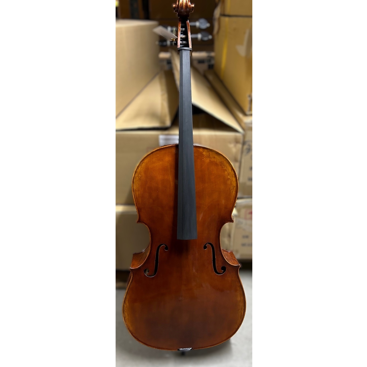 San Bernardo Cello 4/4 Stainer 1673 AA CH-Decke/Moonwood
