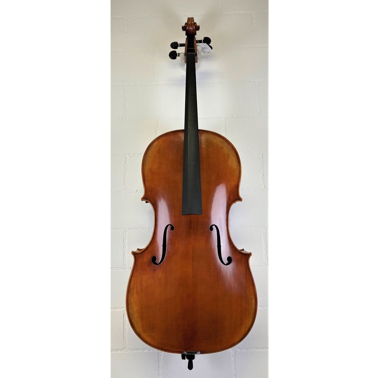 San Bernardo Cello 4/4 Torino AA CH-Decke/Moonwood (Guadagnini)