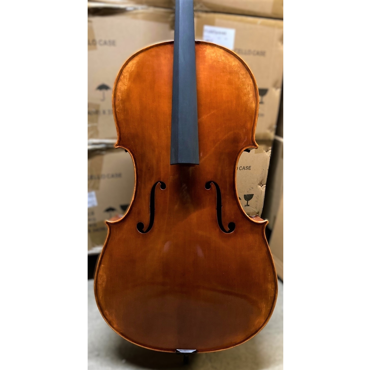 San Bernardo Cello 4/4 Venezia 1693 (Guadagnini) AA CH-Decke/Moonwood