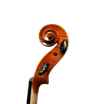 San Bernardo Viola Rimini 1958 (Capicchioni) 40.6cm/16