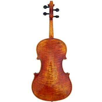 GCV Viola 39,5cm / EU-Decke AA