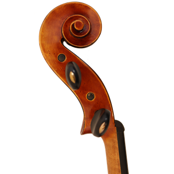 GCV Viola 40,5cm / EU-Decke AA