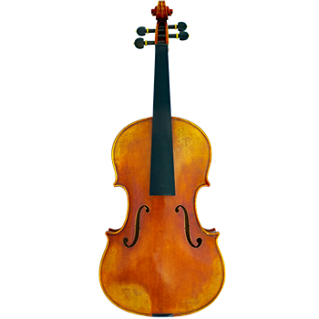 GCV Viola 39,5cm / EU-komplett AAA