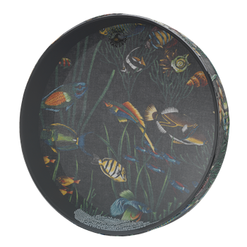 Remo ET-0212-10 Ocean Drum, 12" Fish Graphic