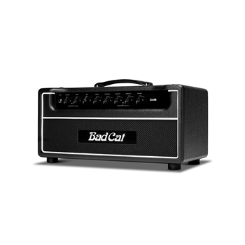Bad Cat »Cub« Head