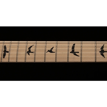 PRS DW CE 24