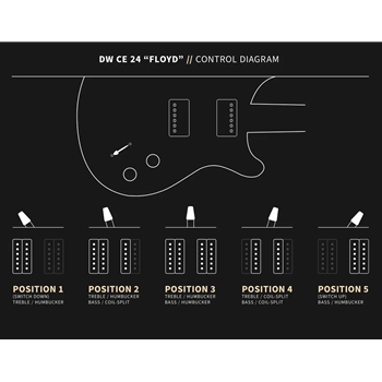PRS DW CE 24