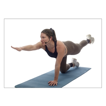 Samson AirLine XDm Fitness