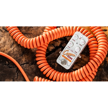 Electro-Harmonix Pico Canyon Echo