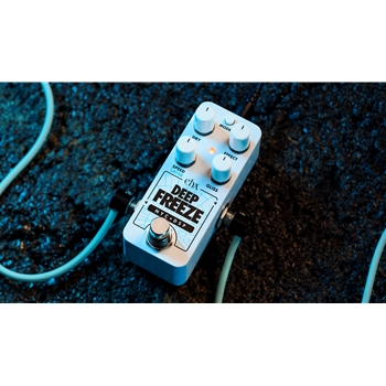 Electro-Harmonix Pico Deep Freeze