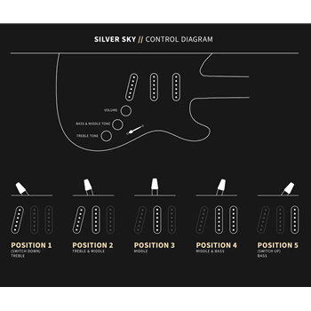 PRS Silver Sky - Venetian Blue (Rosewood)