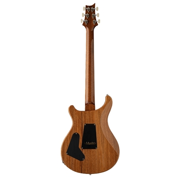 PRS Custom 24 | Aurora Borealis