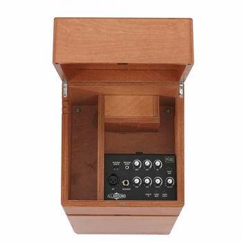 Acus Akustikverstärker Allaround 8 wood