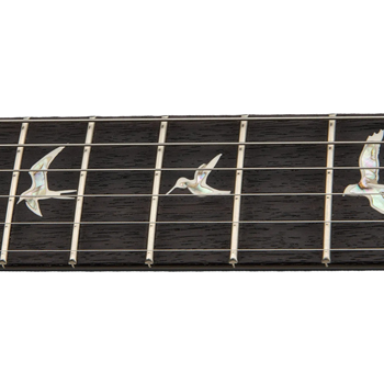 PRS Custom 24 | Charcoal