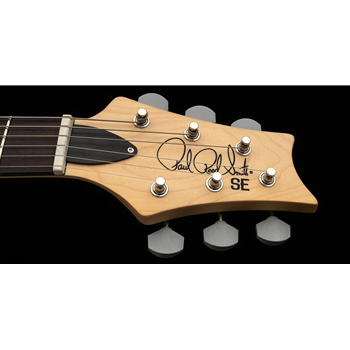 PRS SE Silver Sky | Defender Limited | Carpathian Gray