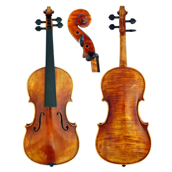GCV Violine 4/4 EU-Decke (600A)